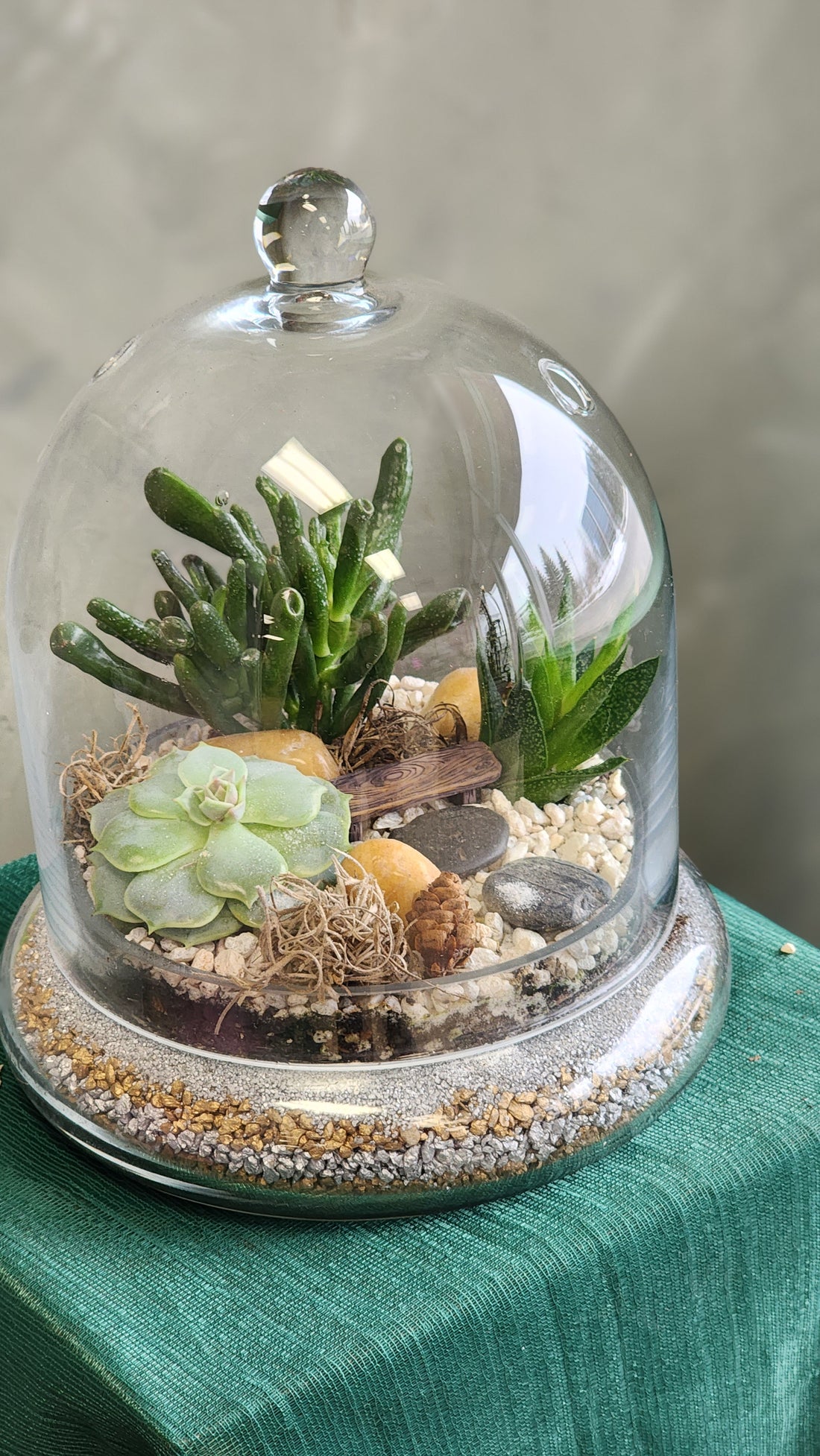 A Vacation in Winter - Terrarium with Dome