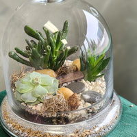 A Vacation in Winter - Terrarium with Dome