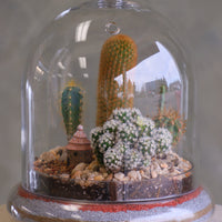 Glass cloche terrarium with mixed cacti, pebbles, layered sand base, and a tiny clay hut, styled as a miniature desert village on a round pedestal.