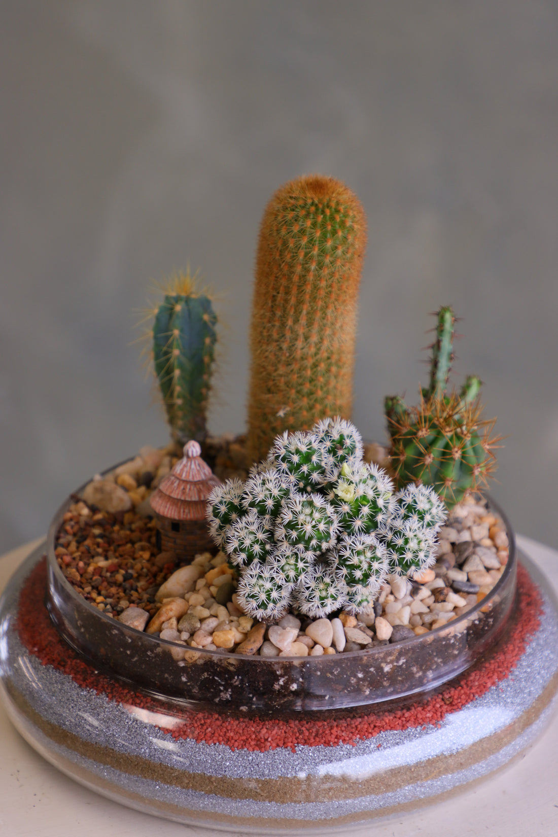 Glass cloche terrarium with mixed cacti, pebbles, layered sand base, and a tiny clay hut, styled as a miniature desert village on a round pedestal.