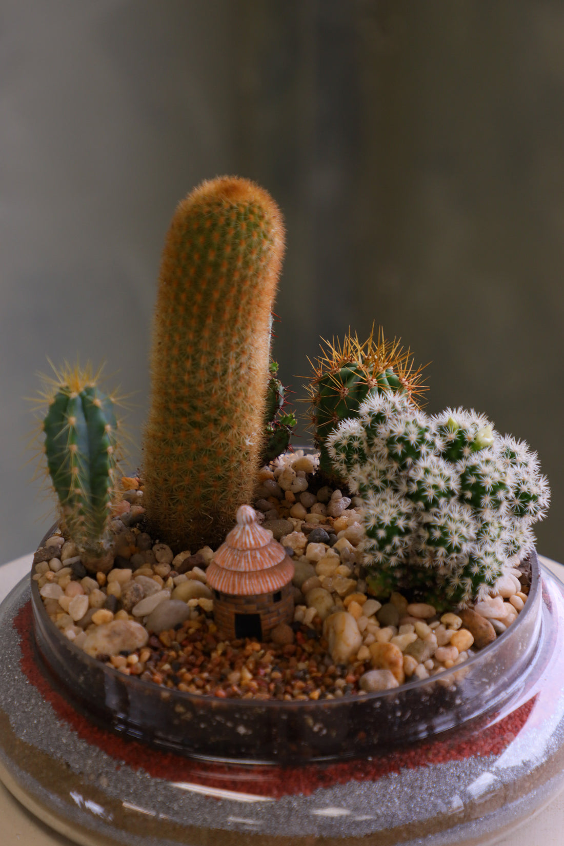 Glass cloche terrarium with mixed cacti, pebbles, layered sand base, and a tiny clay hut, styled as a miniature desert village on a round pedestal.
