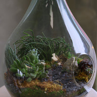 Large teardrop glass terrarium with front opening, layered sand, pebbles, moss, and assorted succulents arranged as a lush miniature landscape.