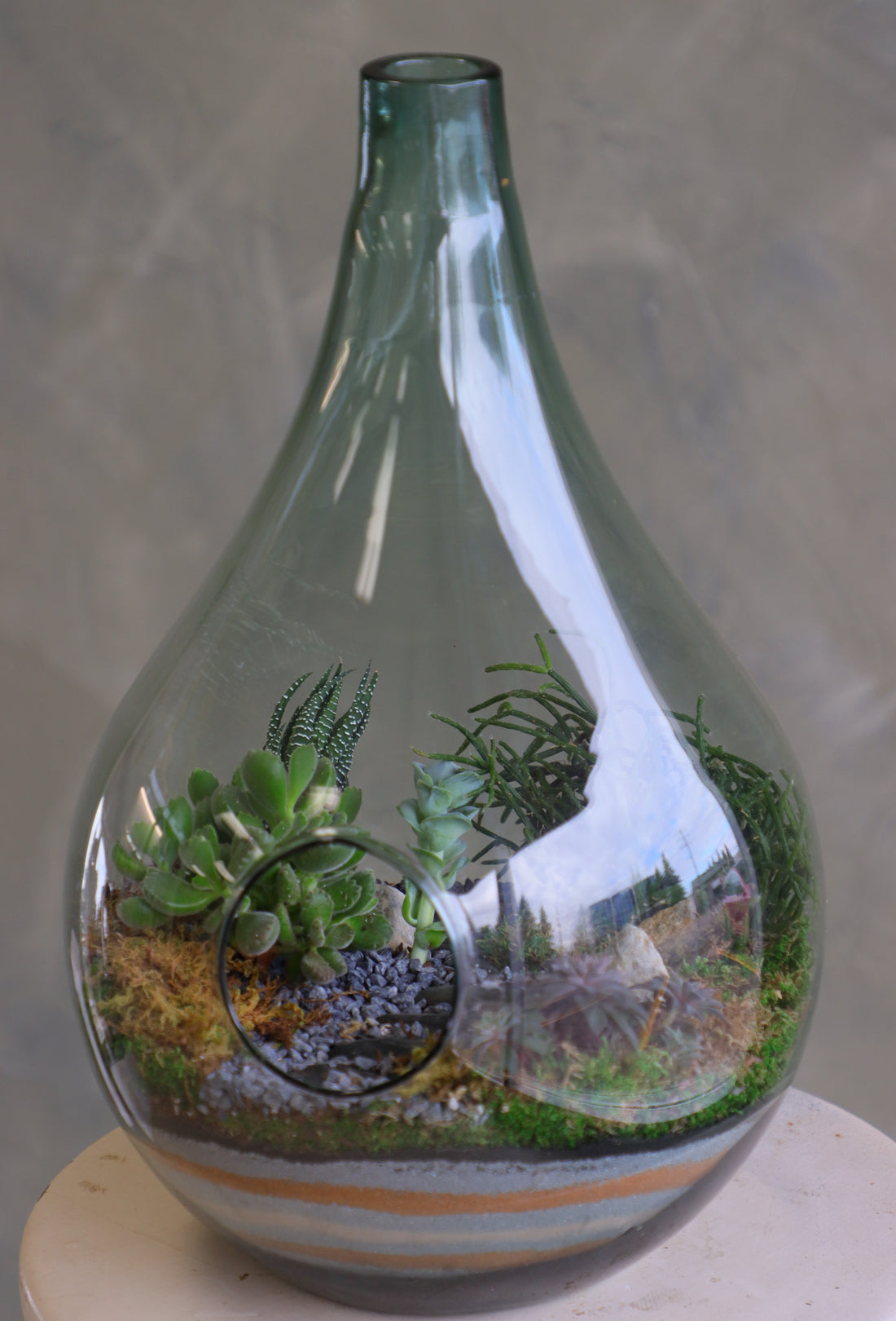 Large teardrop glass terrarium with front opening, layered sand, pebbles, moss, and assorted succulents arranged as a lush miniature landscape.