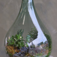 Large teardrop glass terrarium with front opening, layered sand, pebbles, moss, and assorted succulents arranged as a lush miniature landscape.