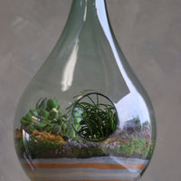 Large teardrop glass terrarium with front opening, layered sand, pebbles, moss, and assorted succulents arranged as a lush miniature landscape.
