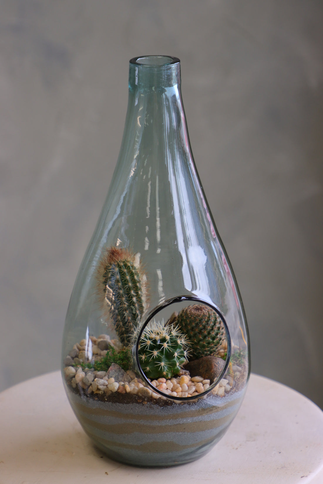 Teardrop glass terrarium with front opening, layered sand, pebbles, and several small cacti arranged as a miniature desert garden.