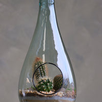 Teardrop glass terrarium with front opening, layered sand, pebbles, and several small cacti arranged as a miniature desert garden.