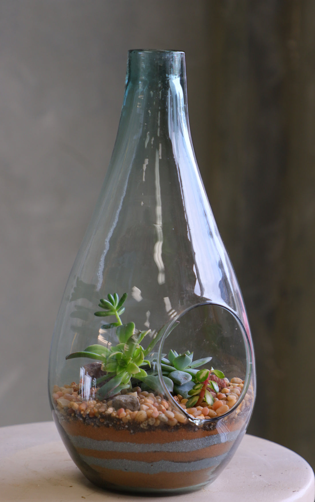 Teardrop glass terrarium with front opening, layered sand, pebbles, and several small cacti arranged as a miniature desert garden.