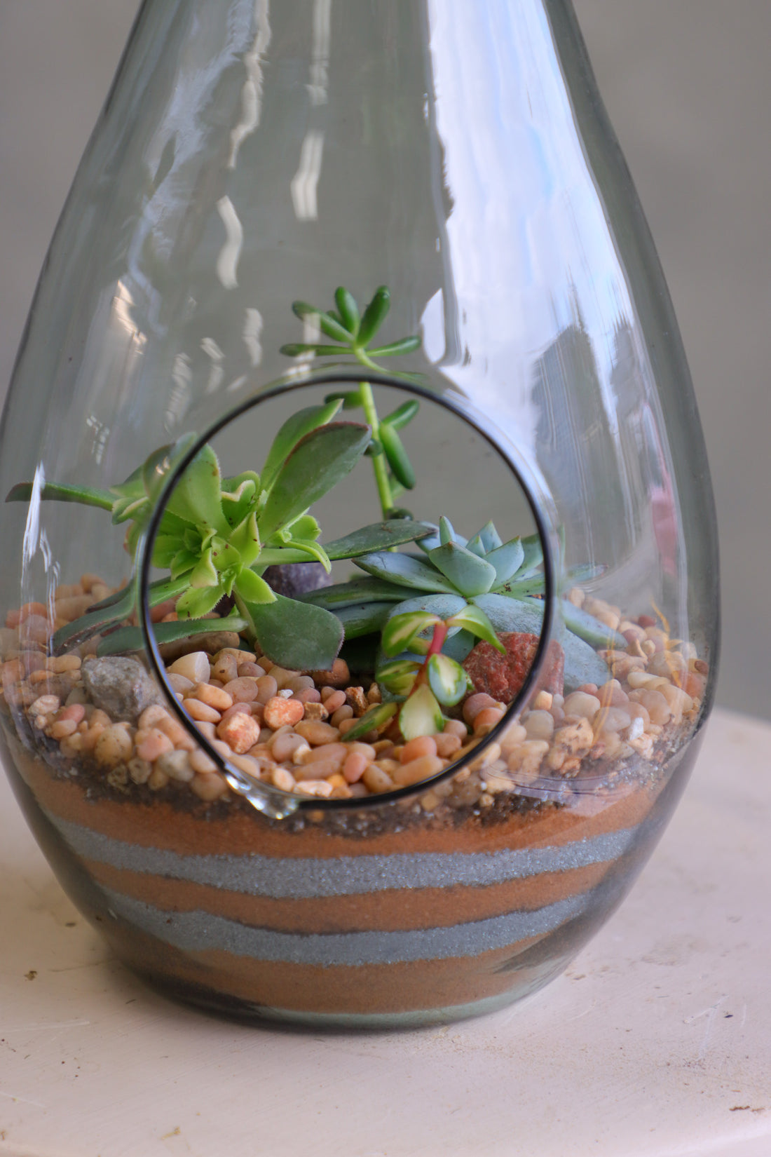 Teardrop glass terrarium with front opening, layered sand, pebbles, and several small cacti arranged as a miniature desert garden.
