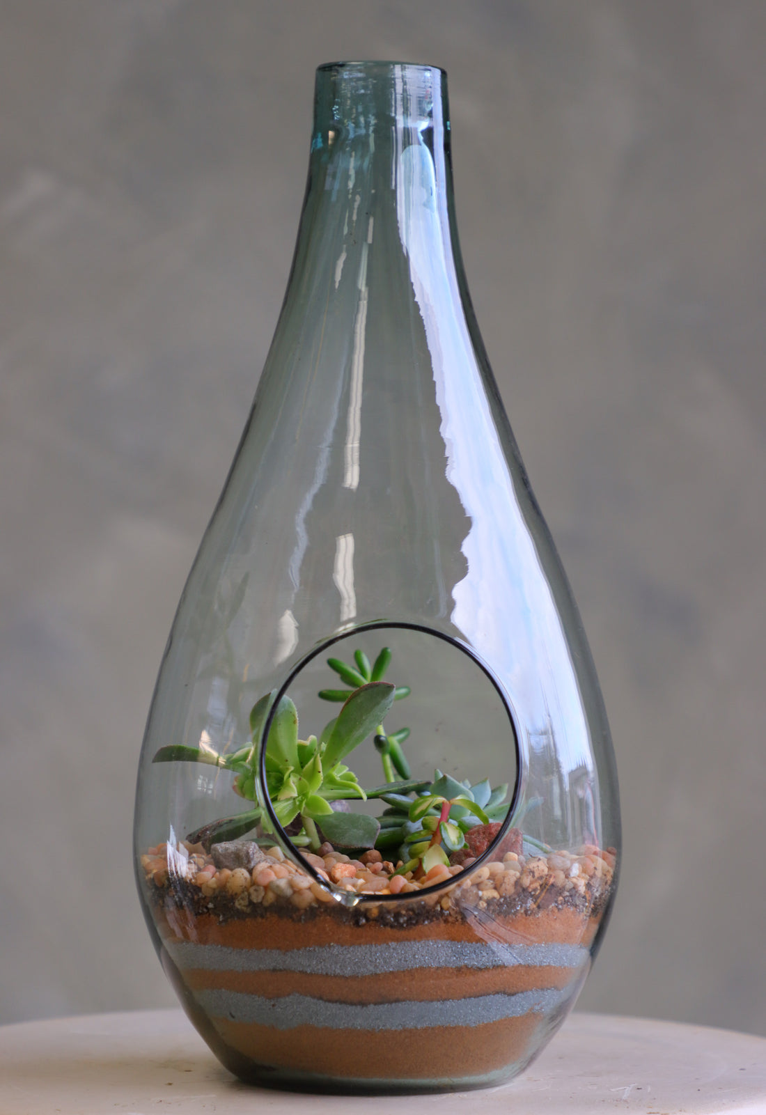 Teardrop glass terrarium with front opening, layered sand, pebbles, and several small cacti arranged as a miniature desert garden.