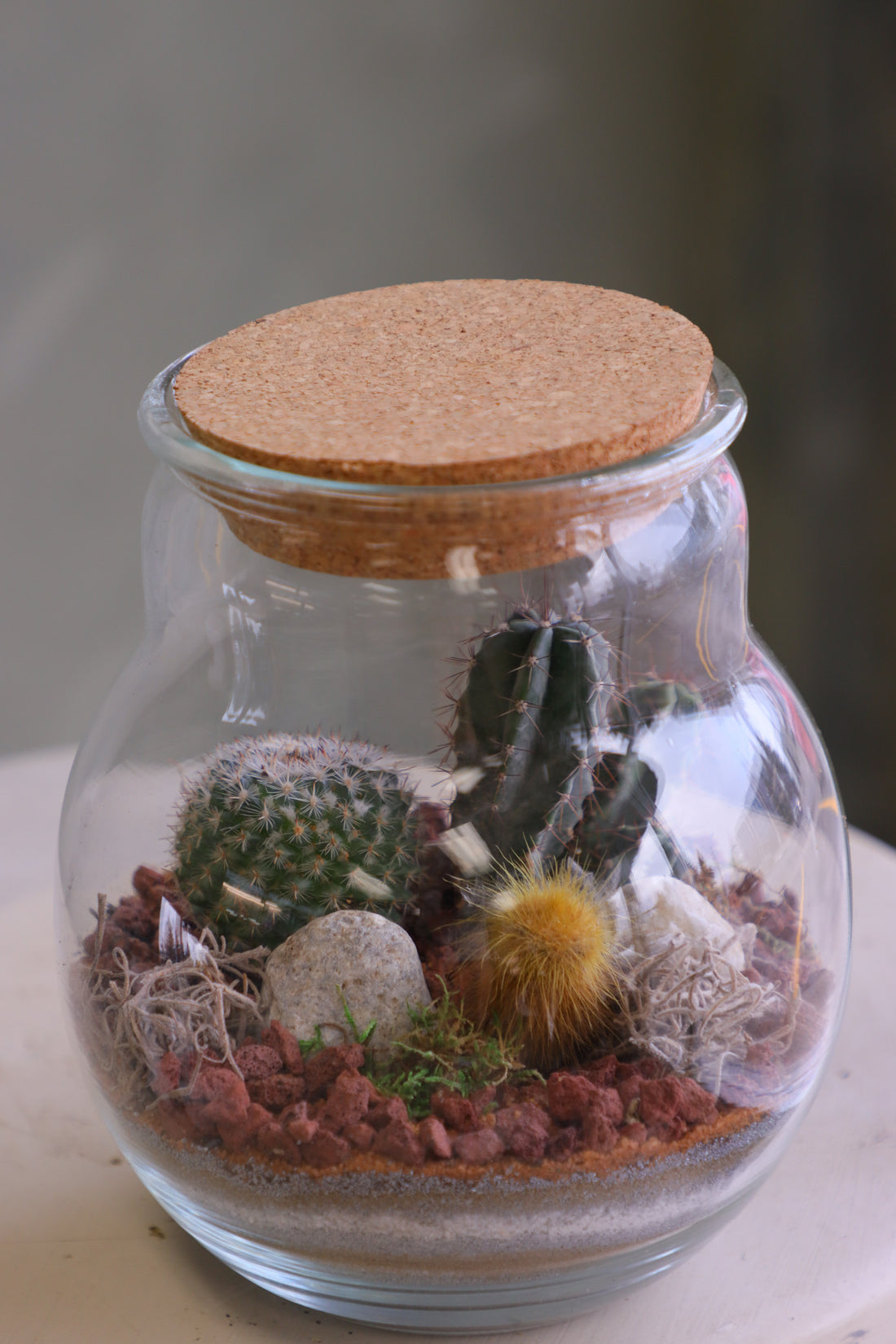 Round glass jar cactus terrarium with cork lid, layered sand, rocks, and several small cacti arranged as a miniature desert scene.