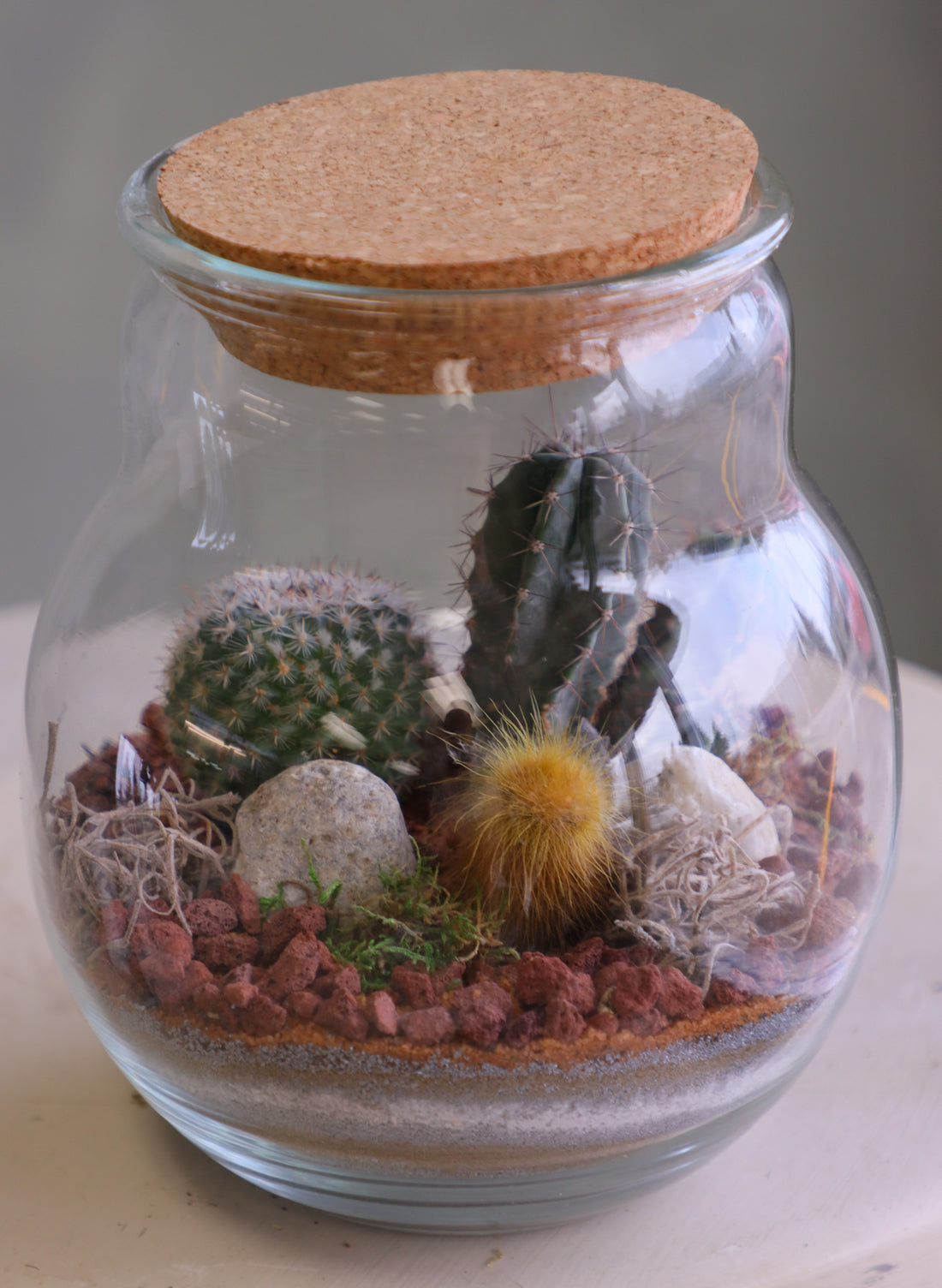 Round glass jar cactus terrarium with cork lid, layered sand, rocks, and several small cacti arranged as a miniature desert scene.