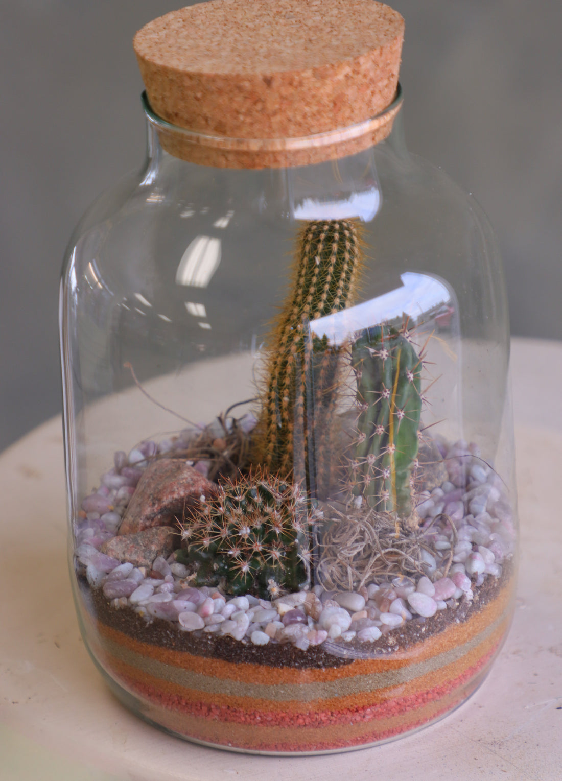Tall glass jar cactus terrarium with cork lid, layered sand, pebbles, rocks, and mixed cacti styled as a vertical desert garden.