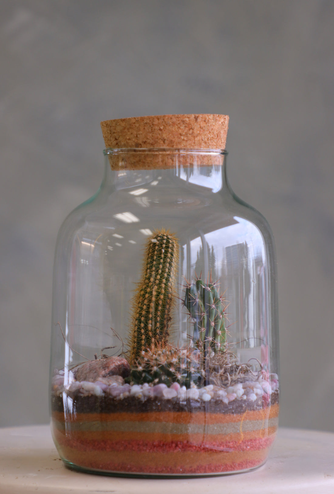 Tall glass jar cactus terrarium with cork lid, layered sand, pebbles, rocks, and mixed cacti styled as a vertical desert garden.