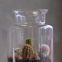 Tall clear glass terrarium filled with assorted small cacti, layered decorative sand, rocks, and pebbles, styled as a miniature desert landscape.