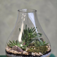 Large Glass Terrarium - A Snippet of Nature
