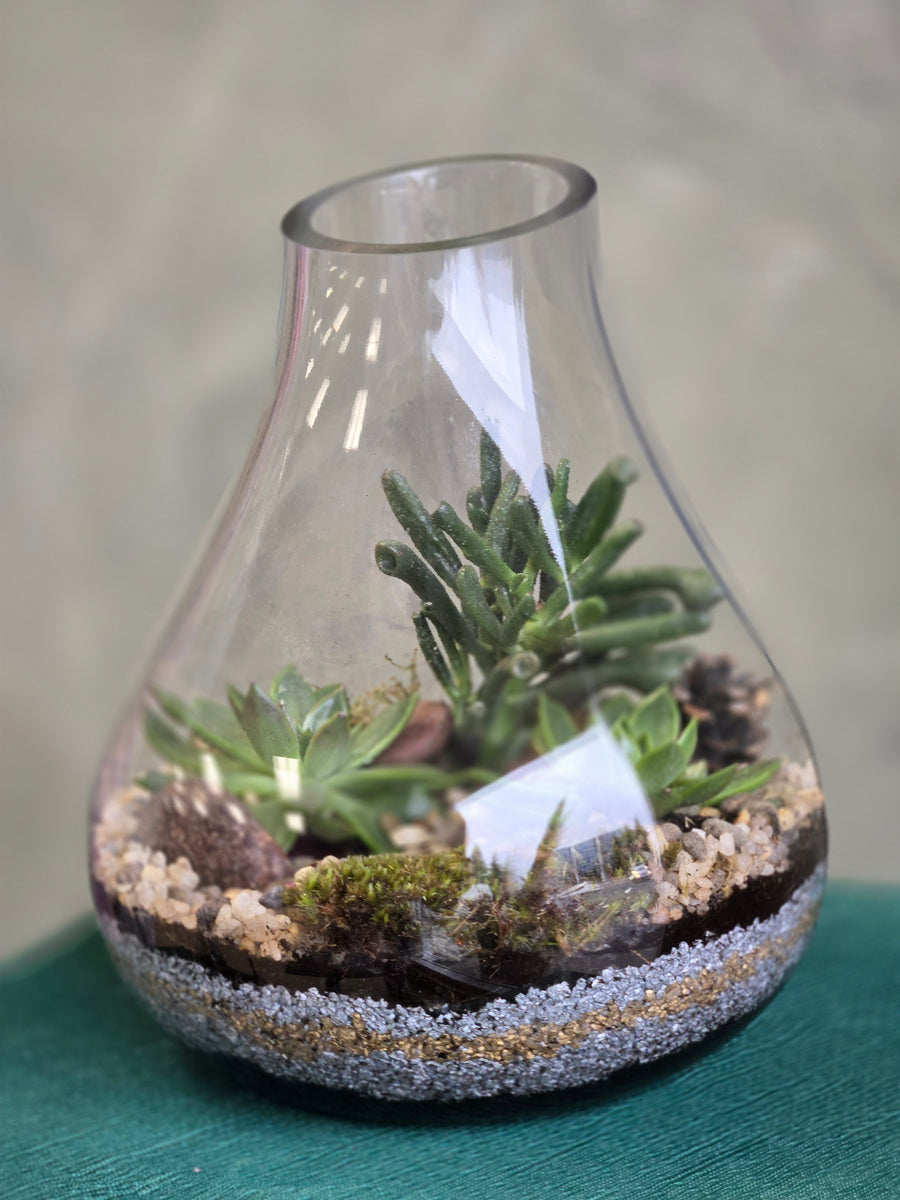 Large Glass Terrarium - A Snippet of Nature