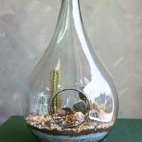 Teardrop terrarium, terrarium, easy plant, low maintenance, cactus, oasis terrarium, teardrop