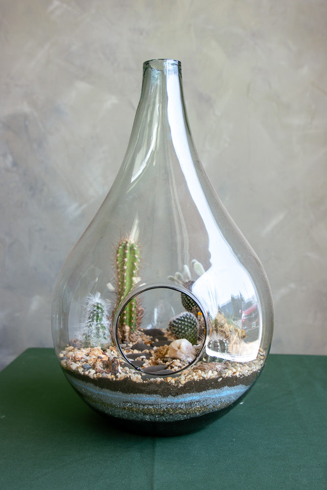 Teardrop terrarium, terrarium, easy plant, low maintenance, cactus, oasis terrarium, teardrop