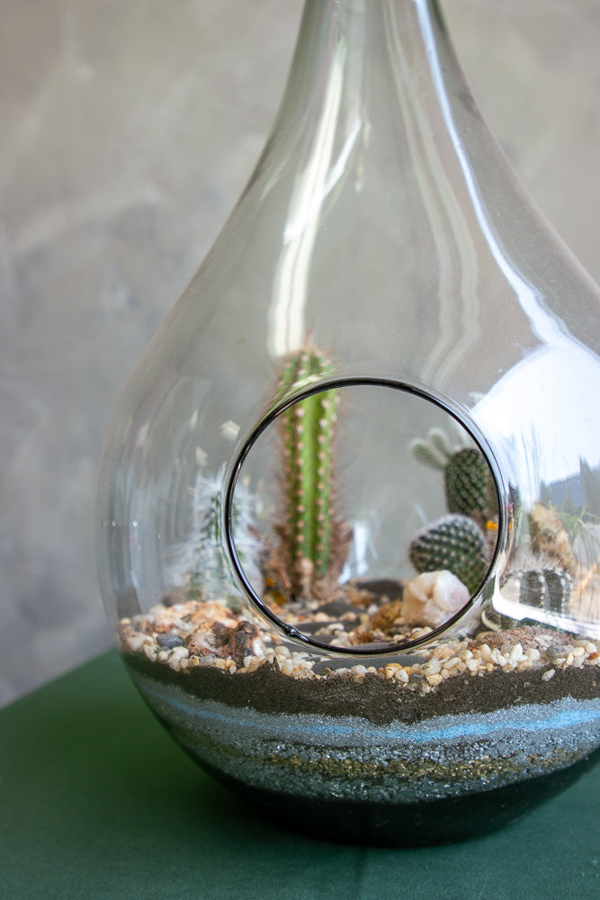 Teardrop terrarium, terrarium, easy plant, low maintenance, cactus, oasis terrarium, teardrop