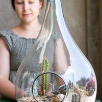 Teardrop terrarium, terrarium, easy plant, low maintenance, cactus, oasis terrarium, teardrop