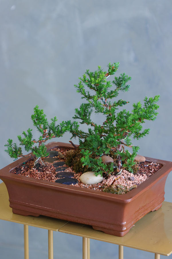 Zen Path bonsai arrangement with sculpted juniper, moss, and river stones in an elegant ceramic pot by Ottawa florist.