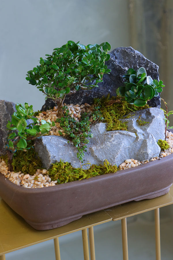 Mountain Serenity bonsai arrangement featuring sculpted bonsai trees, rugged stones, moss, and pebbles in a ceramic container by Ottawa florist.