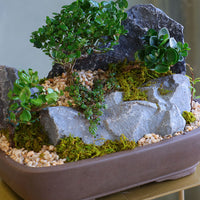 Mountain Serenity bonsai arrangement featuring sculpted bonsai trees, rugged stones, moss, and pebbles in a ceramic container by Ottawa florist.