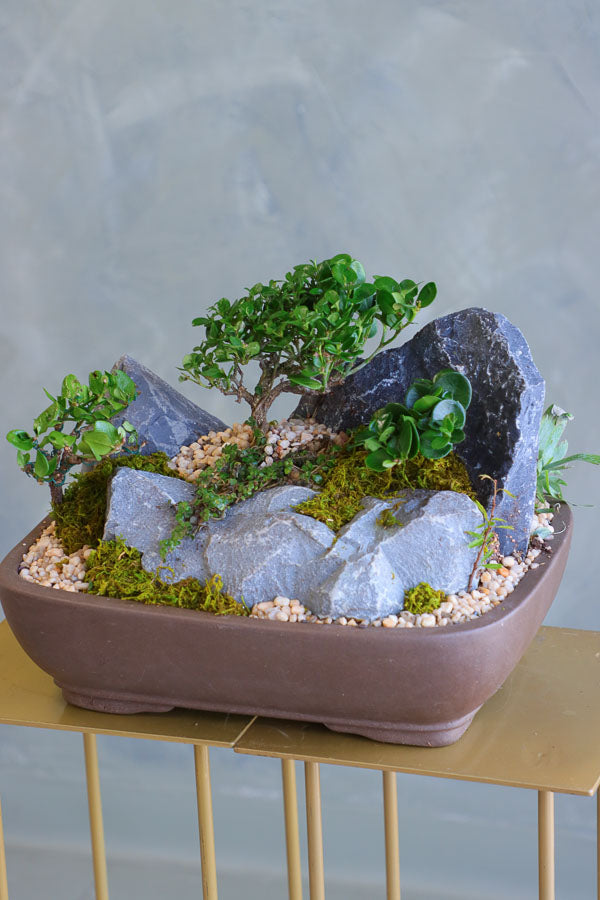 Mountain Serenity bonsai arrangement featuring sculpted bonsai trees, rugged stones, moss, and pebbles in a ceramic container by Ottawa florist.