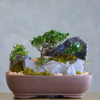 Mountain Serenity bonsai arrangement featuring sculpted bonsai trees, rugged stones, moss, and pebbles in a ceramic container by Ottawa florist.