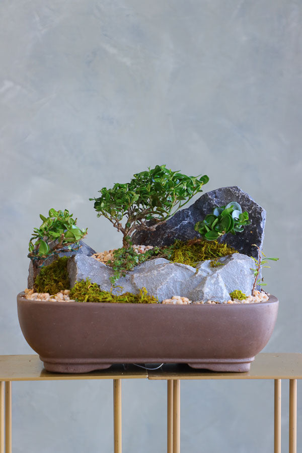 Mountain Serenity bonsai arrangement featuring sculpted bonsai trees, rugged stones, moss, and pebbles in a ceramic container by Ottawa florist.