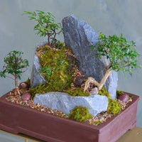 Mountain Echo bonsai arrangement with sculpted trees, natural rock formations, and moss in an elegant container by Ottawa florist.