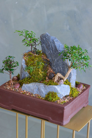 Mountain Echo bonsai arrangement with sculpted trees, natural rock formations, and moss in an elegant container by Ottawa florist.