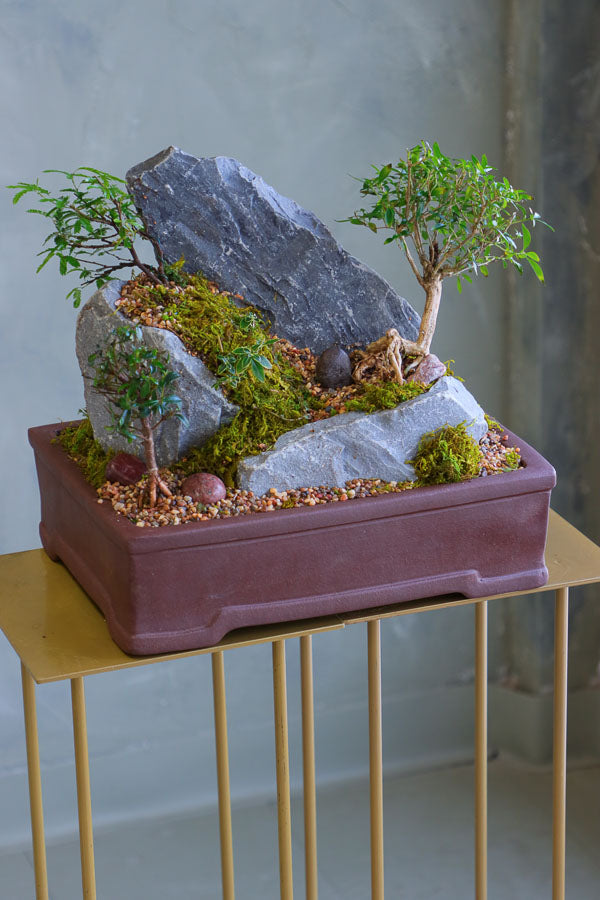 Mountain Echo bonsai arrangement with sculpted trees, natural rock formations, and moss in an elegant container by Ottawa florist.