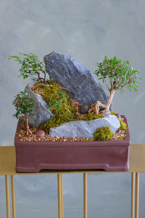 Mountain Echo bonsai arrangement with sculpted trees, natural rock formations, and moss in an elegant container by Ottawa florist.