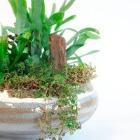 Exquisite Fern Arrangement