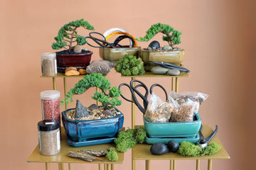 Juniper Zen: A Hands-On Bonsai Workshop