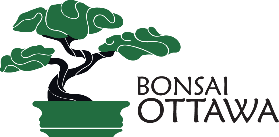 Bonsai Ottawa logo
