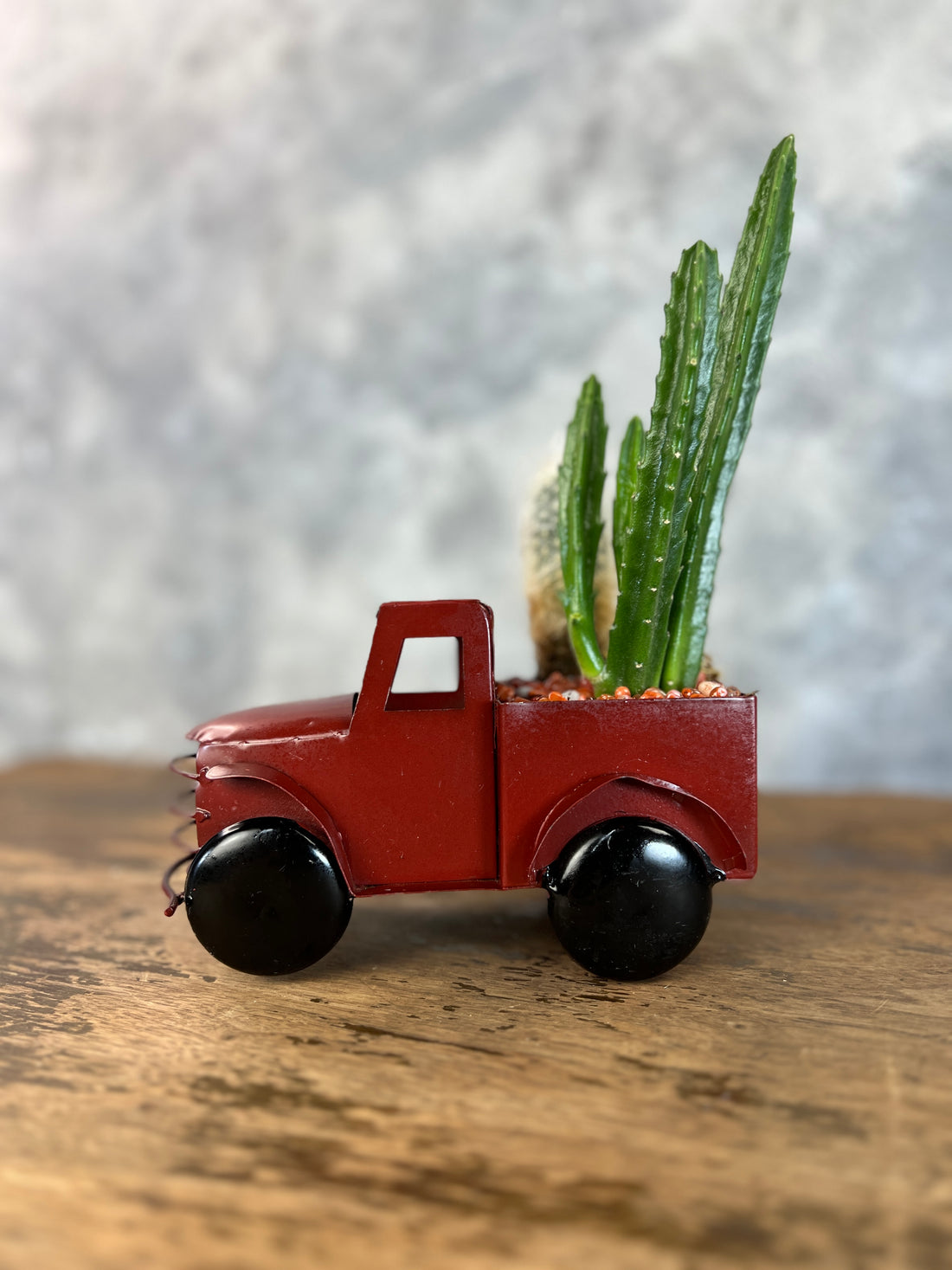 Red succulents truck buy succulents online