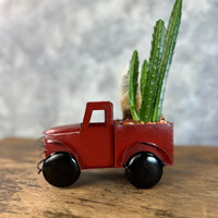 Red succulents truck buy succulents online