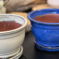 Refined bonsai plant pot glazed ceramic 8" white and blue colours Bonsai Ottawa Shop 