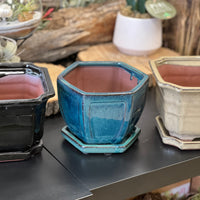 Bonsai plant pot glazed ceramic 8" black, blue and white colours Bonsai Ottawa Shop