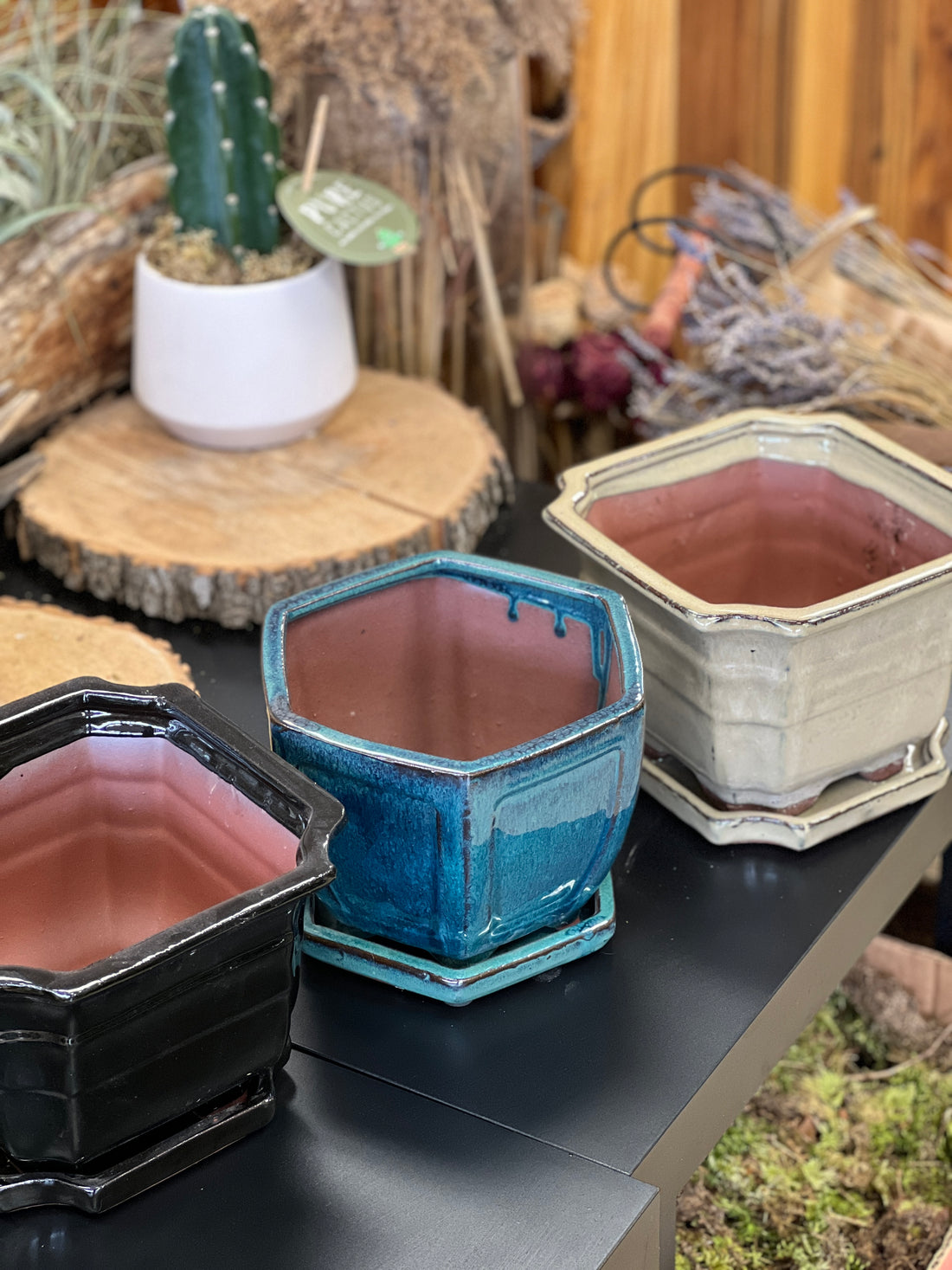 Bonsai plant pot glazed ceramic 8" black, blue and white colours Bonsai Ottawa Shop