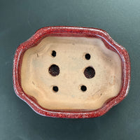 Bonsai plant pot glazed ceramic 6x5x3" Black, red, green and blue colours, Bonsai Ottawa Shop