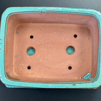 Bonsai plant pot glazed ceramic Size 6x5x3" colour red and turquoise Bonsai Ottawa Shop