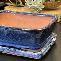 Bonsai plant pot glazed ceramic 8" Blue and black colours Bonsai Shop Ottawa