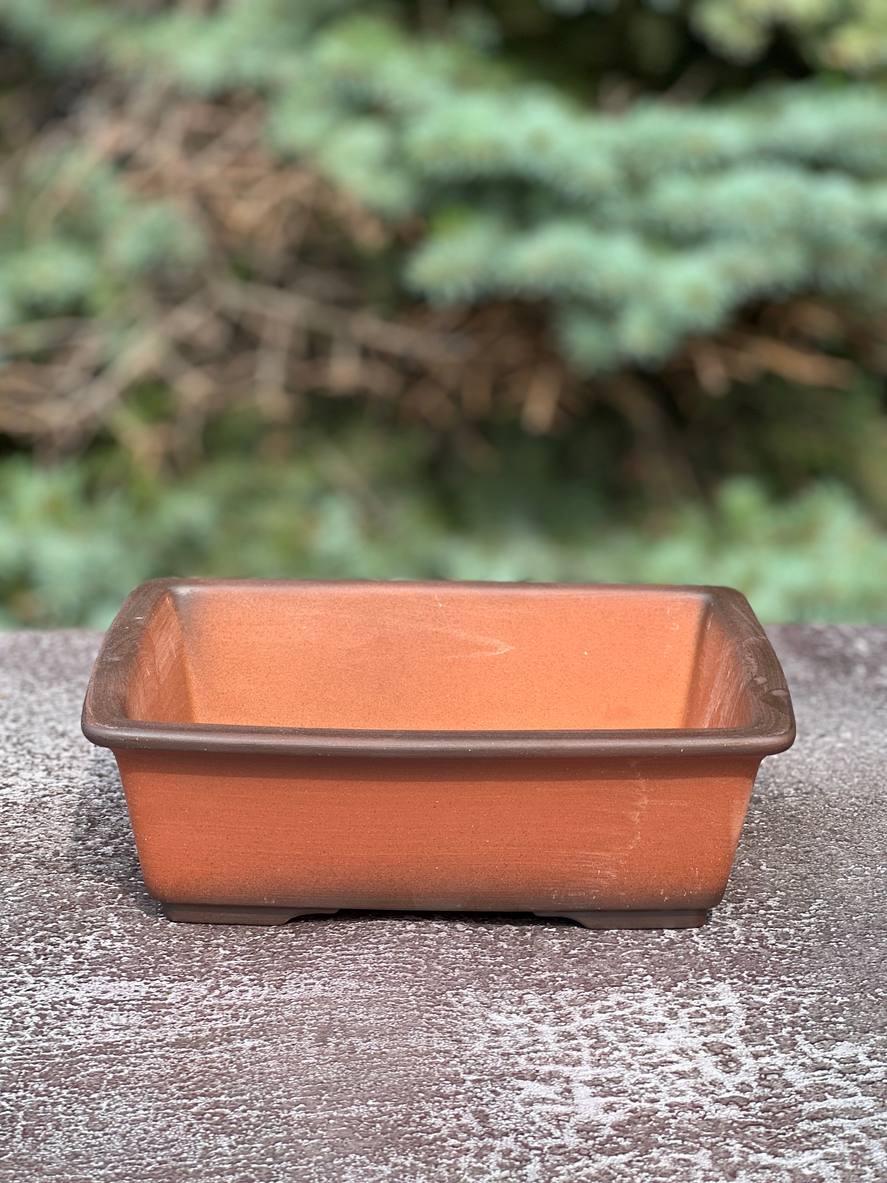 Handmade Ceramic Pot Rectangle size – Bonsai Ottawa