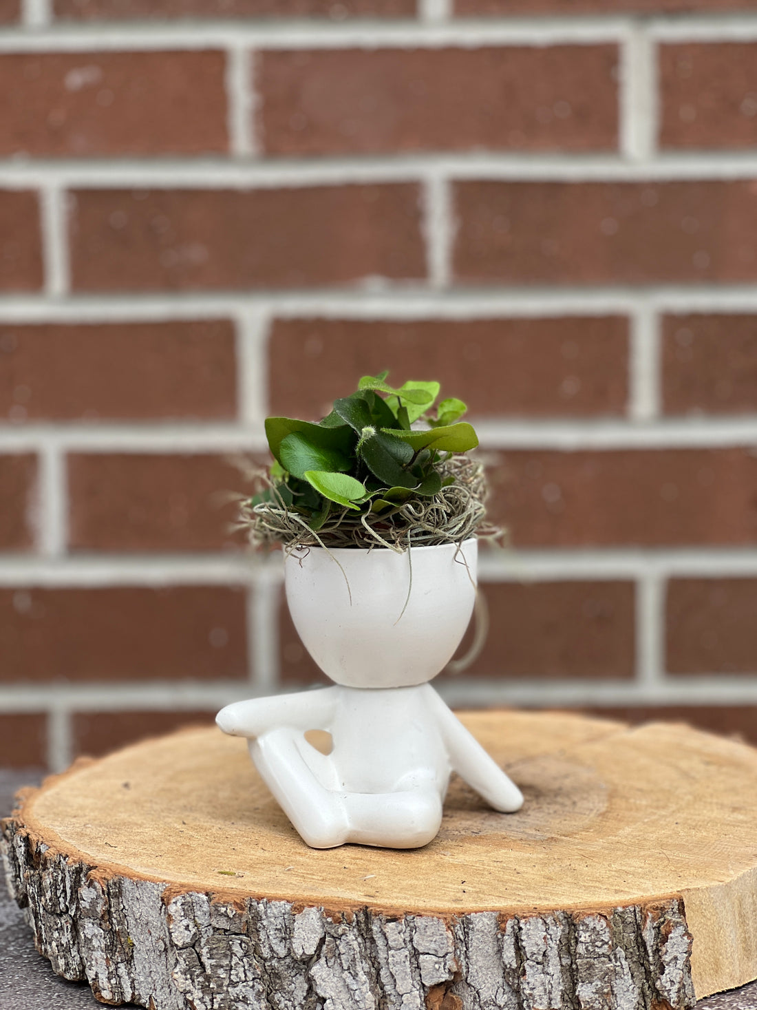 plant dude; people ceramic pot; cute plants in pots; gift for a plant lover