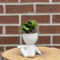 plant dude; people ceramic pot; cute plants in pots; gift for a plant lover