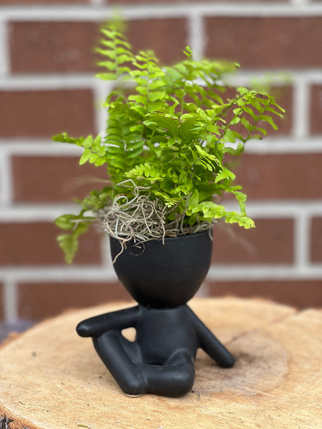 plant dude; people ceramic pot; cute plants in pots; gift for a plant lover